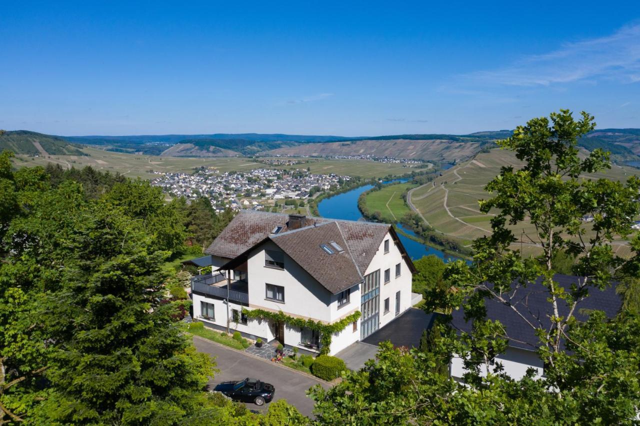 Hotel Gastehaus-Weingut Loersch Leiwen Exteriér fotografie