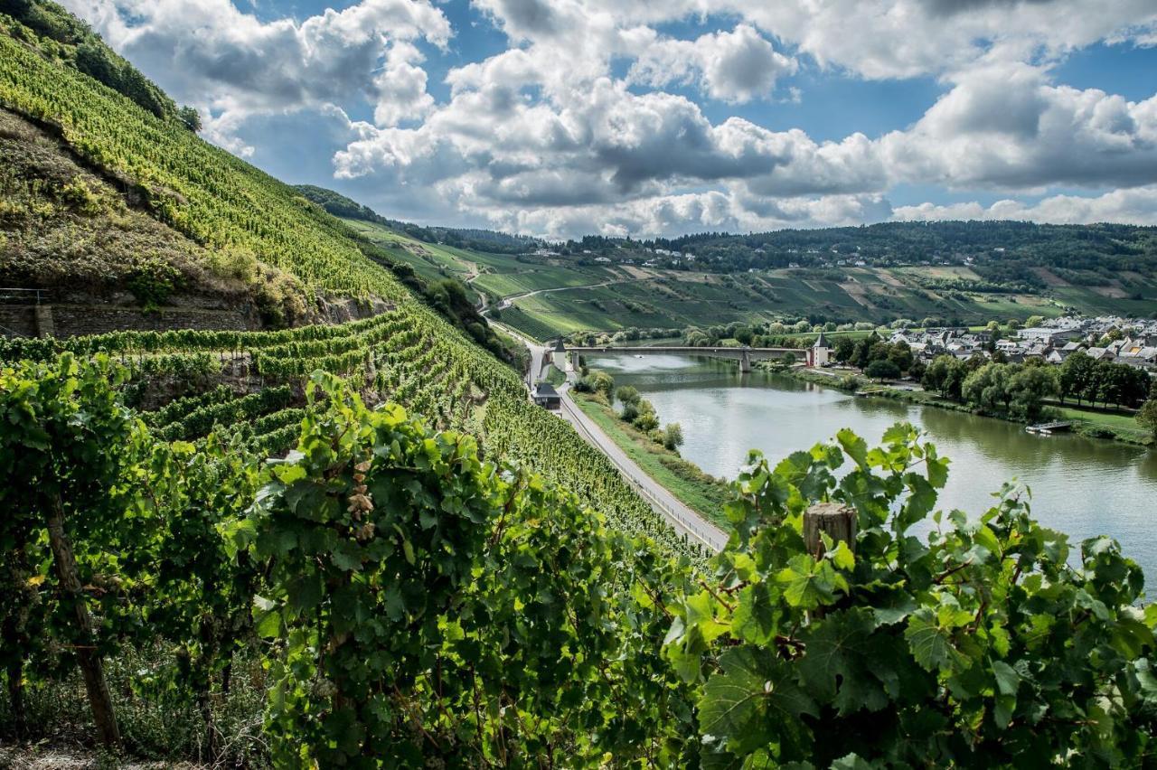 Hotel Gastehaus-Weingut Loersch Leiwen Exteriér fotografie