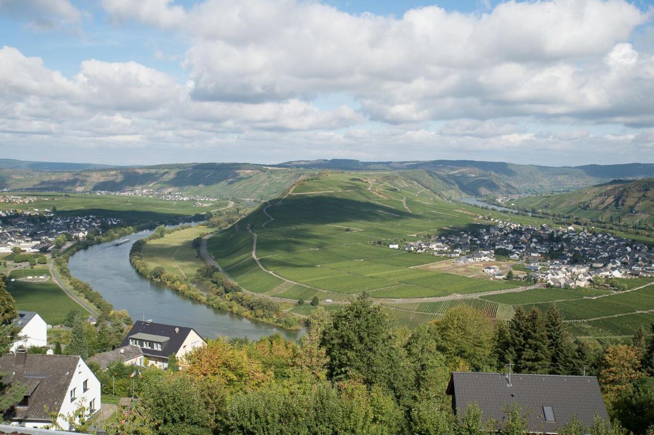 Hotel Gastehaus-Weingut Loersch Leiwen Exteriér fotografie